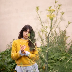 Lambswool Jumpers>Donna Wilson Fauna Jumper - Daffodil