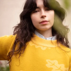 Lambswool Jumpers>Donna Wilson Fauna Jumper - Daffodil